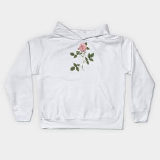 Pink Rose Flower Botanical Illustration Kids Hoodie